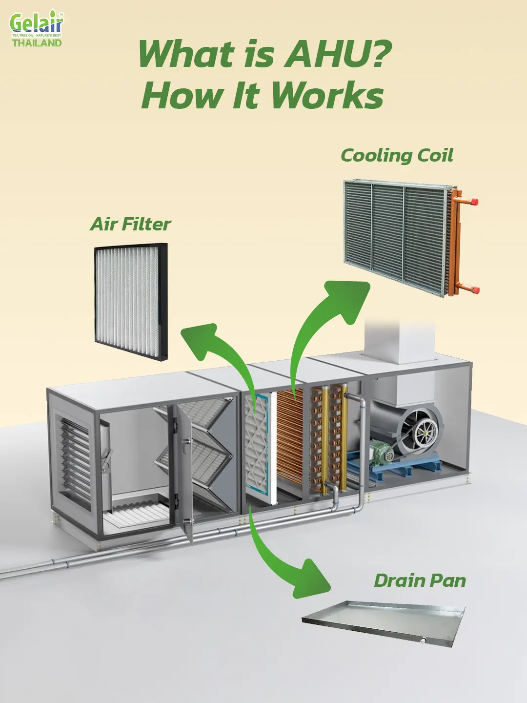 Cooling Coil ใน AHU แหล่งสะสมเชื้อราและฝุ่น