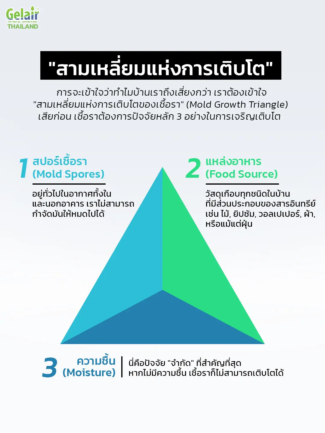 อินโฟกราฟิก “ทำไมบ้านไทยเสี่ยงกว่าต่างประเทศ” ชี้ 3 ปัจจัยหลัก: การระบายอากาศไม่พอ ฝุ่น PM2.5 และความชื้นเชื้อรา พร้อมแนวทางแก้ด้วย Gelair IAQ